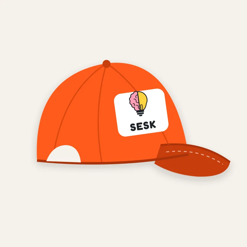 SESK cap (mock-up)